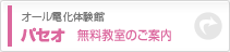 �p�Z�I